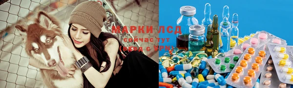прущая мука Алзамай