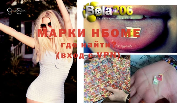 гашик Алексеевка