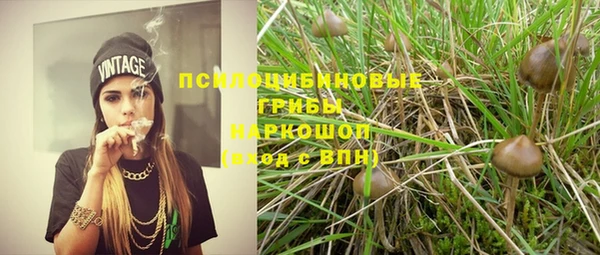 не бодяженный Алексин