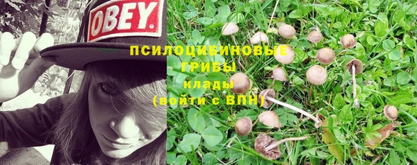 не бодяженный Алексин
